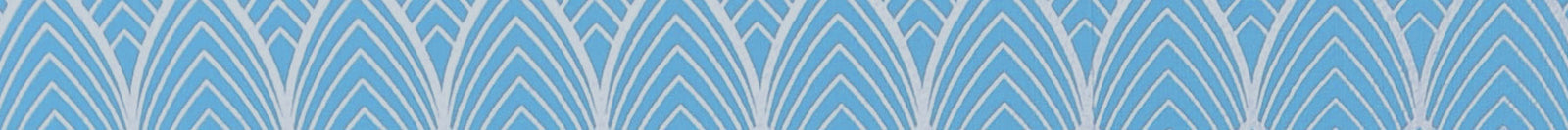 LENTILLES DE COULEUR BLEU VIF