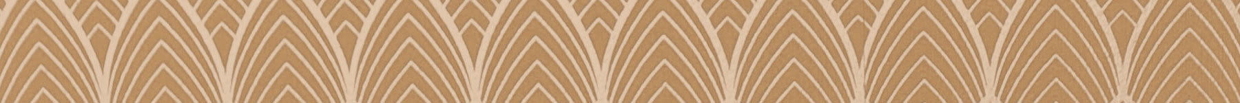 LENTILLES YEUX MARRON