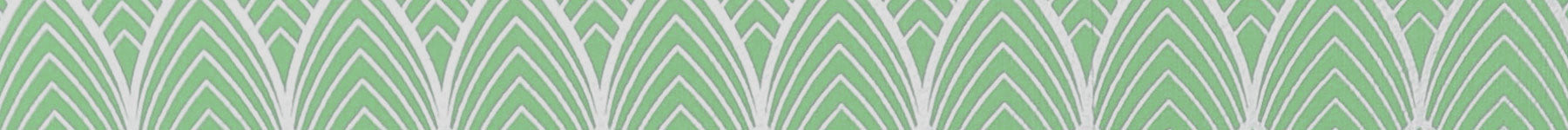 LENTILLES DE COULEUR VERT JADE