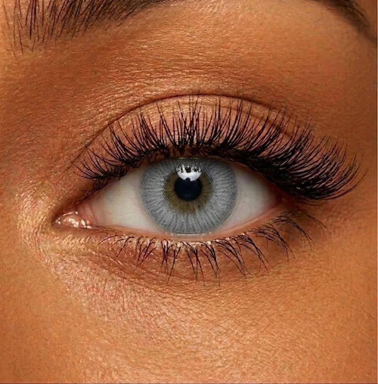 Lentilles de couleur Gris perle - 3 mois