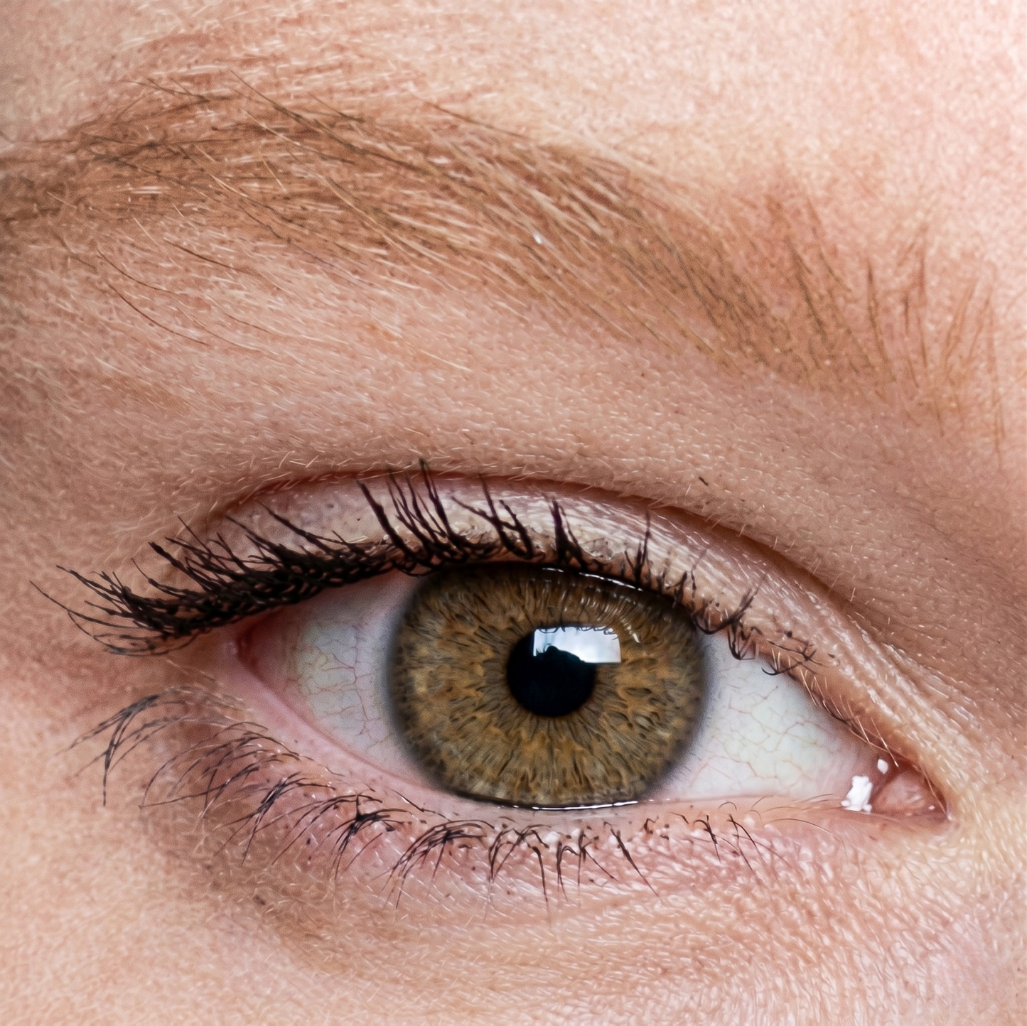 Lentilles de couleur Marron Noisette avec correction - 3 mois