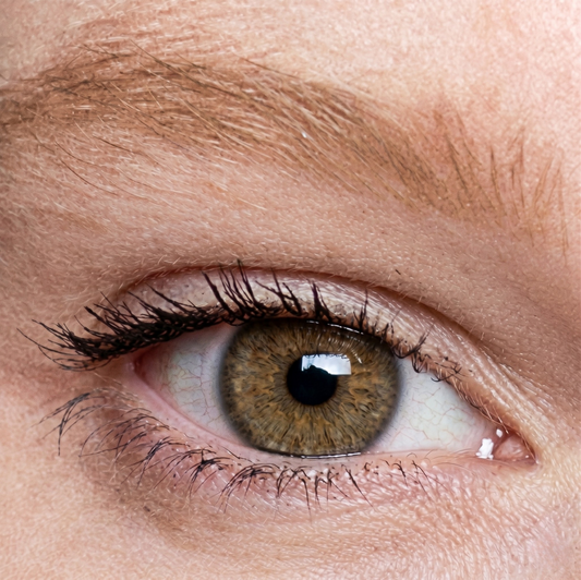 Lentilles de couleur Marron Noisette avec correction - 3 mois