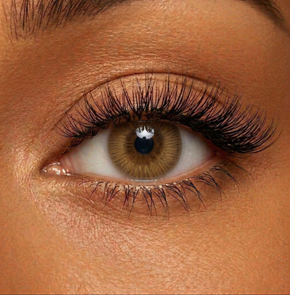 Lentilles de couleur Marron Noisette - 3 mois